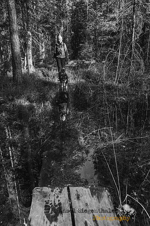 Reflections along boardwalk
