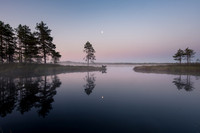 Twilight reflections lakeside with moon and dog