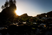 Sea stack and rocks at low tide on Olympic coast
