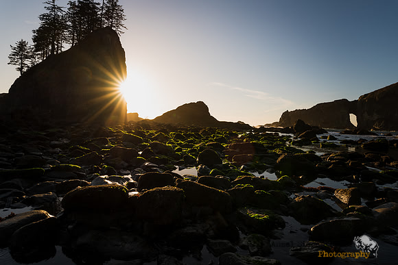 Sea stack and rocks at low tide on Olympic coast