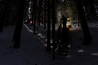Moonlight filtering through forest as figure climbs stairs in winter