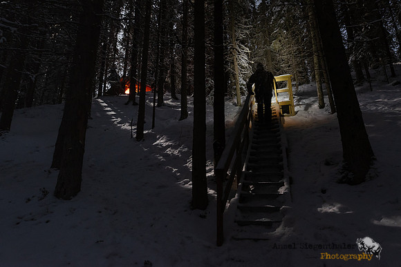 Moonlight filtering through forest as figure climbs stairs in winter