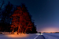 Kicksled track and illuminated trees