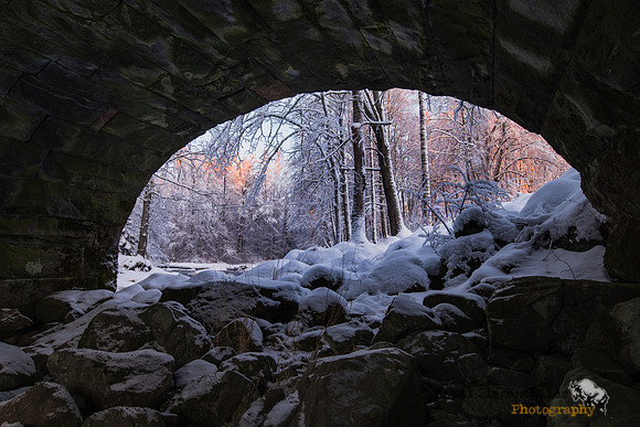 Looking out from under a bridge
