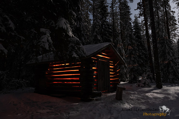 Woodshed in forest under a full moon