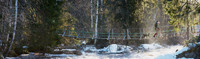 Suspended forest bridge
