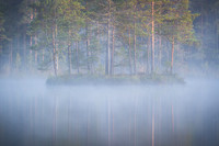 Lake island with morning mist and reflections