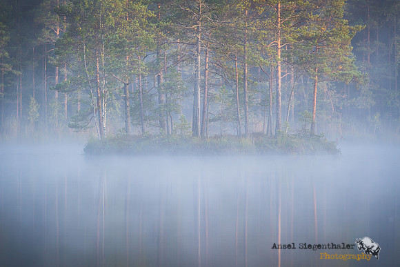 Lake island with morning mist and reflections