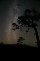 Starry night sky