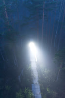 Person on path with headlamp in dawn fog