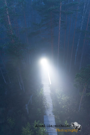 Person on path with headlamp in dawn fog