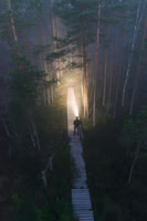 Person on path with headlamp in dawn fog