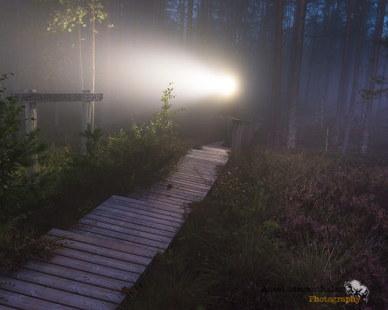 Person on path with headlamp in dawn fog