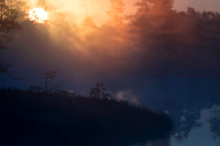 Sunrise over misty pond