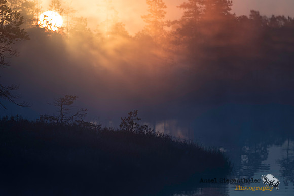 Sunrise over misty pond