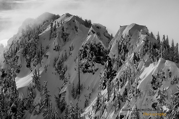 Snow laden