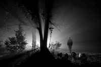 Light from the darkness