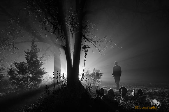 Light from the darkness