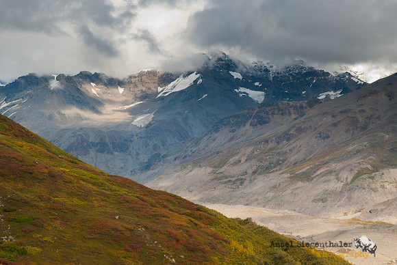Descending autumn